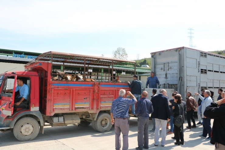 Kocaeli’de 232 Genç Çiftçiye 6 Milyon 960 Bin Tl Hibe Desteği Verildi