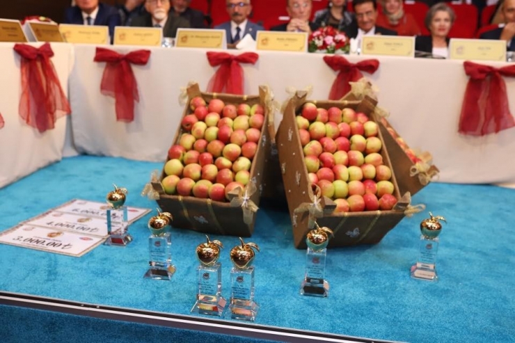 14. ‘Altın Elma’nın Finali Yapıldı