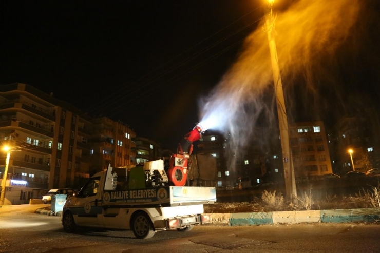 Haliliye’de İlaçlama Çalışmaları Sürüyor