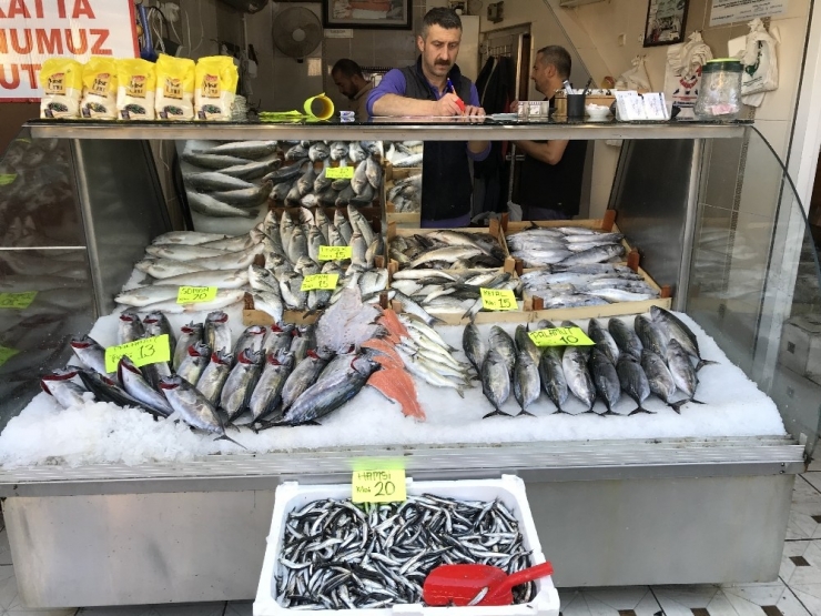 Karadeniz Hamsisi Tezgahlarda 20 Tl’yi Gördü