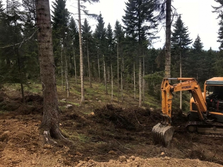 Trabzon Akçaabat’ta Örnek Çalışma
