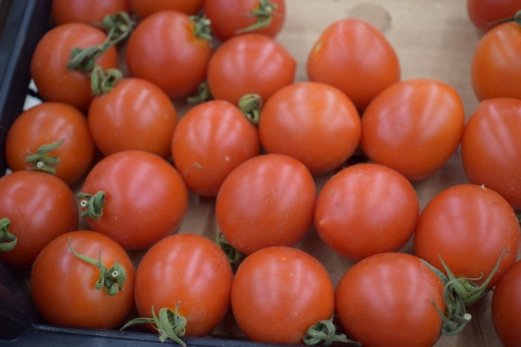 Türkiye’de 7, Rusya’da 16 Lira