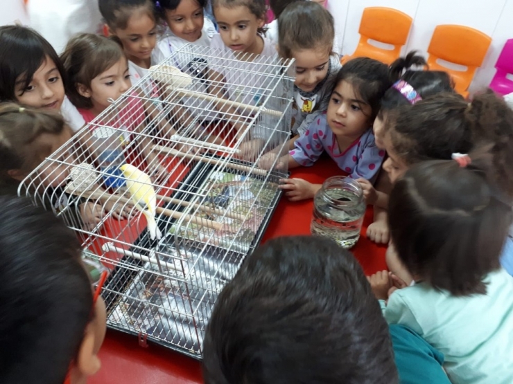 Anaokulu Öğrencileri Hayvanları Yakından Tanıdı