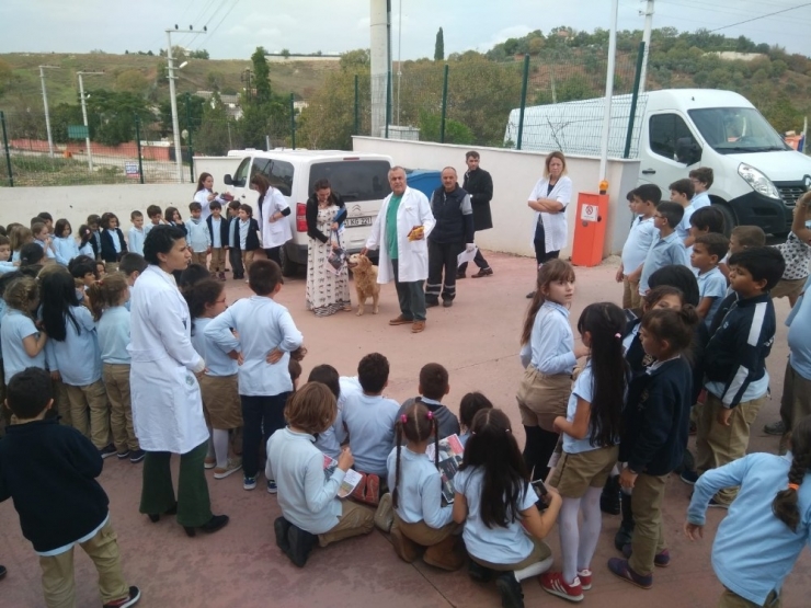 Darıca’da İlkokul Öğrencilerine Sokak Hayvanları Hakkında Bilgi Verildi