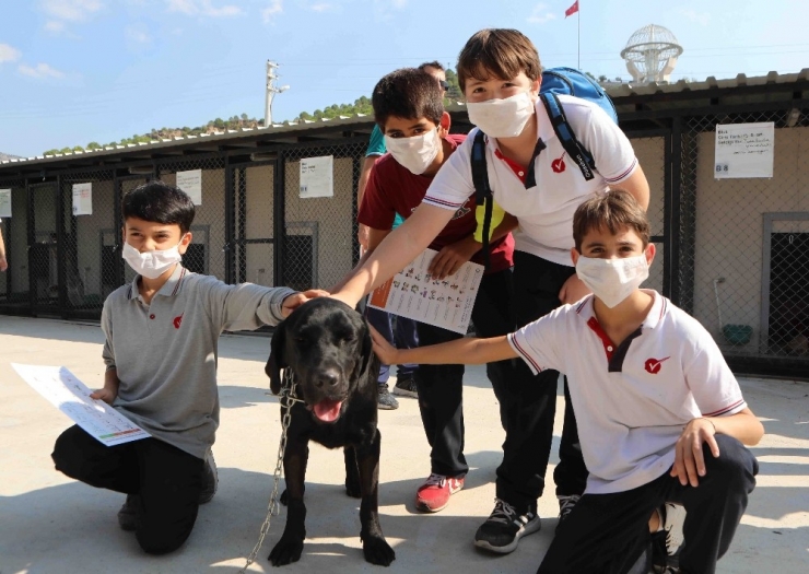 Öğrenciler Can Dostları Ziyaret Etti