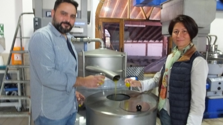 Prof. Harzadın: "Zeytinyağı Çocukların Beyin Gelişimi İçin Çok Faydalı"