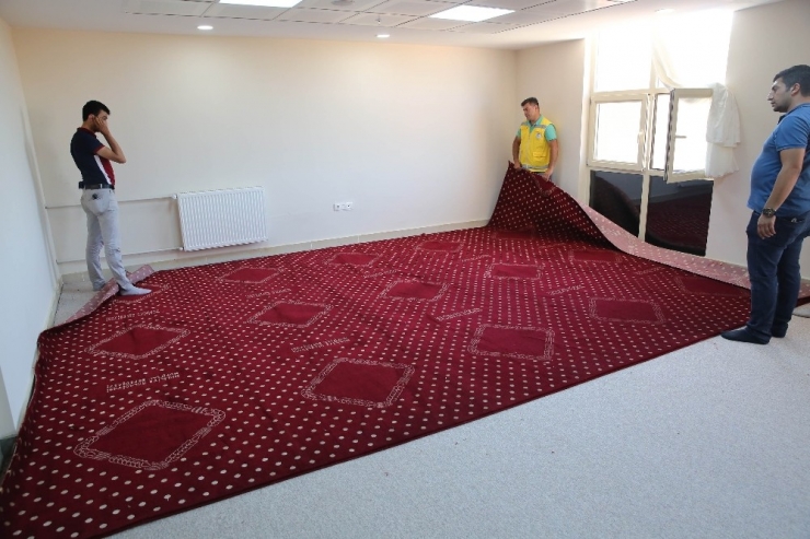 Haliliye’de Kurumların Halı İhtiyacı Karşılandı