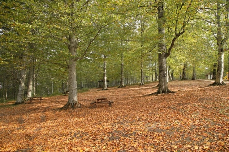 Karadeniz’de Sonbahar Bir Başka Güzel