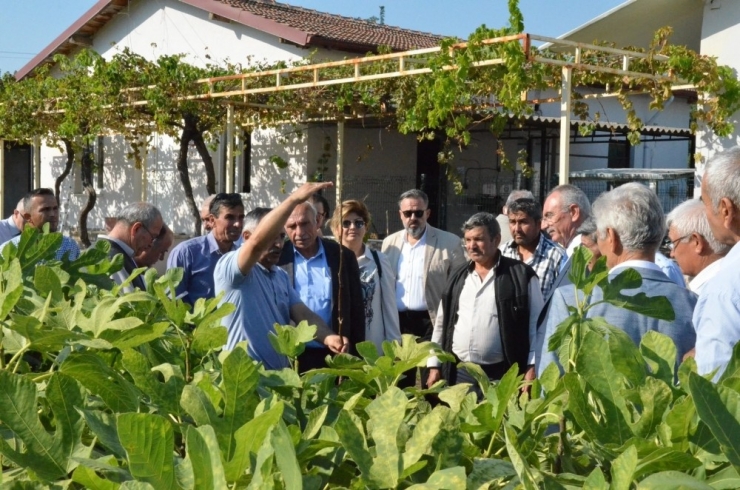 Yuntdağı Yunusemre İle Kalkınıyor