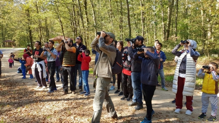 Kuş Gözlemcileri Ormanya’da Buluştu