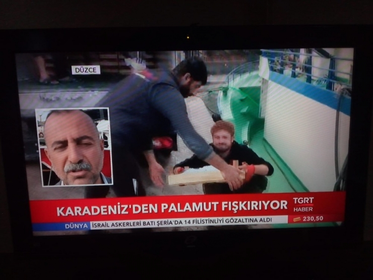 Vali Balkanlıoğlu Pamukova’da İncelemelerde Bulundu