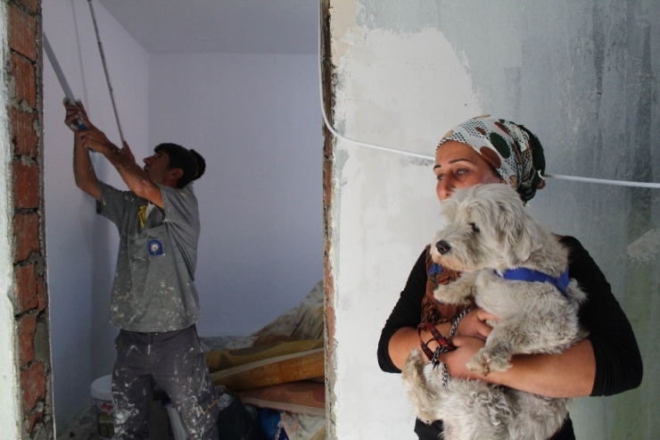 Antalya’da Yangından, ’Cesur’ Köpeğin Kurtardığı Aileye Yardım Eli