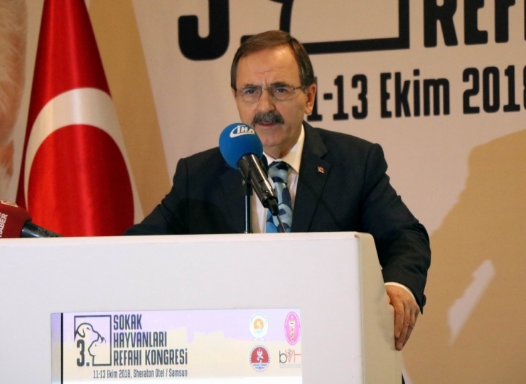 “3. Sokak Hayvanları Refahı Kongresi” Başladı