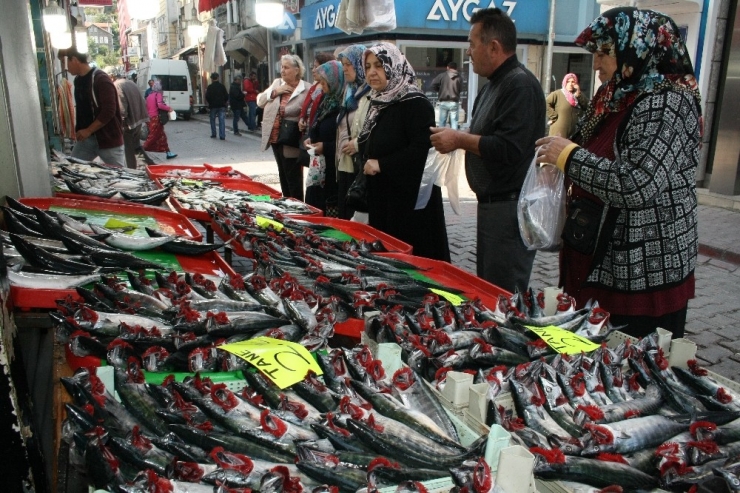 İnebolu’da Palamut 2 Liraya Düştü