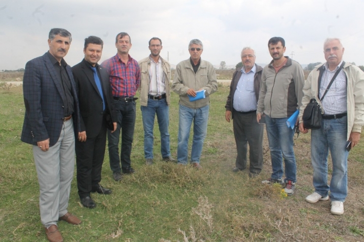 Meraların Islahı İçin Etüt Çalışmalarına Başlandı