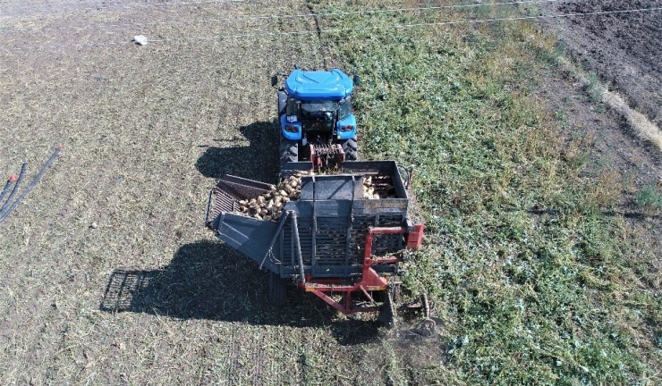 Elazığ’ın Bu Yıl Yeterli Yağış Almaması Pancarda Üretimi Azalttı