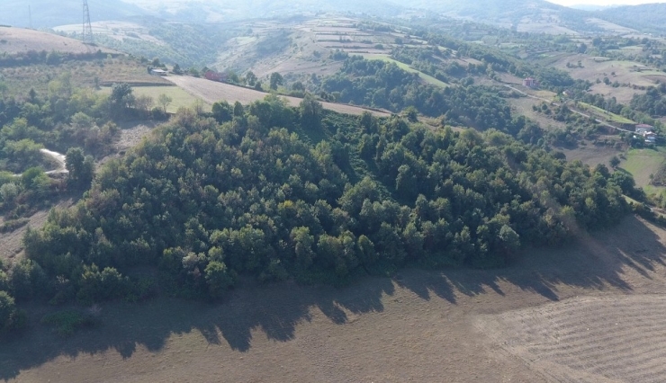 Tekkeköy’e Millet Bahçesi