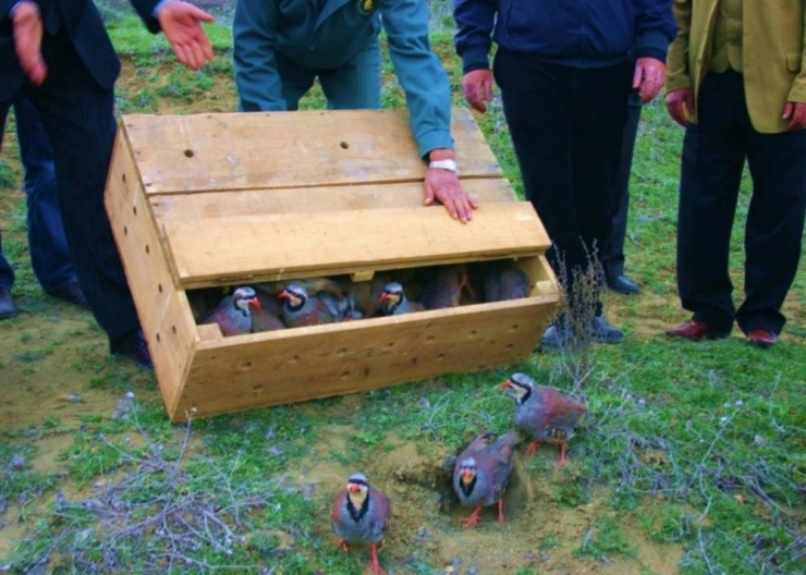 Ordu’da Kene İle Mücadele Sürüyor