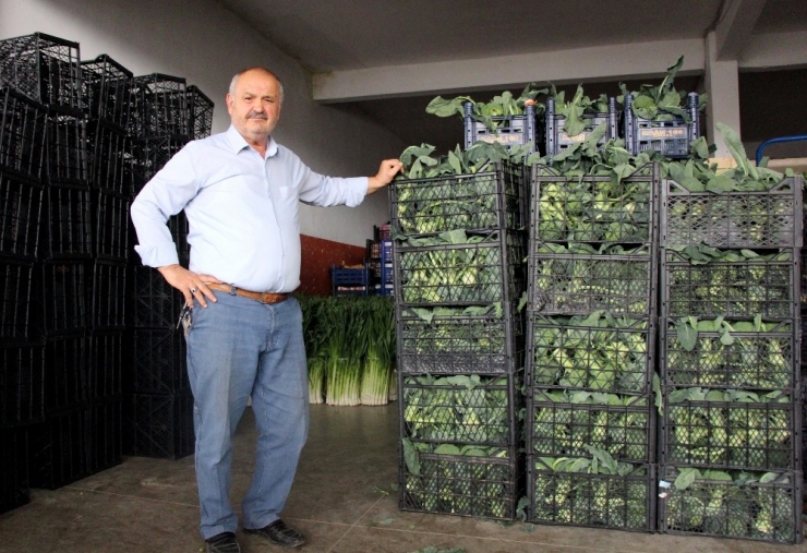 Samsunlu Komisyoncular: "Arz Talep Doğrultusunda Fiyatlar Belirlenir"