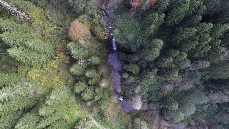 Gerce Şelalesi’nde Sonbahar Güzelliği