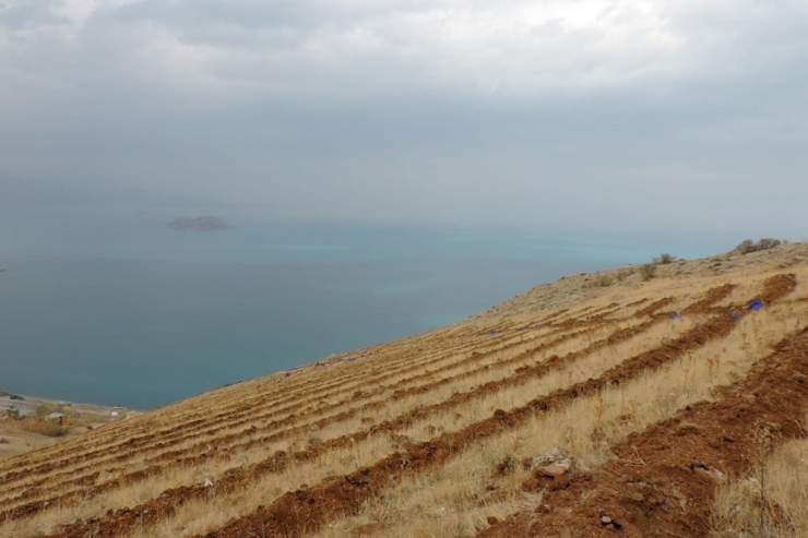Van’ın Artos Dağı Yeşilleniyor