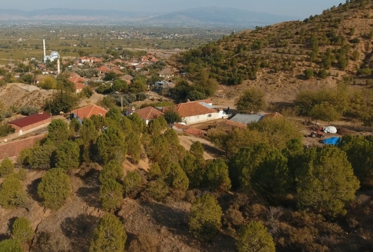 Manisa’da Ağaçlandırma Çalışması Erozyonu Yendi