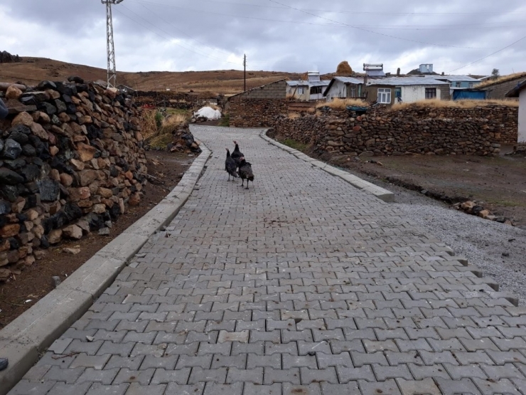 Çaldıran’da 670 Nüfuslu Sungur Mahallesi Parke Taşları İle Süsleniyor