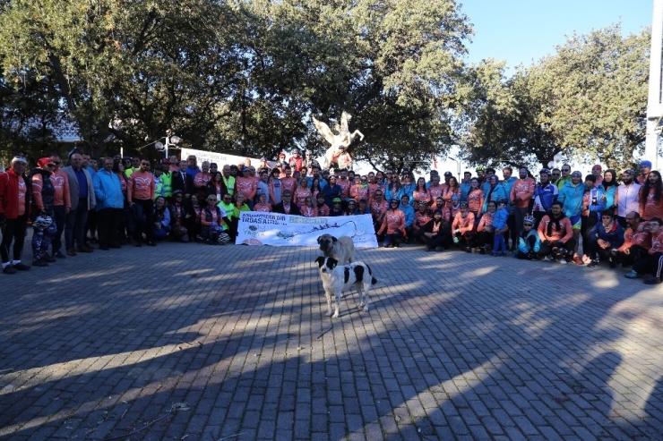 Adramytteion’dan Troas’a Pedal Çevirecekler