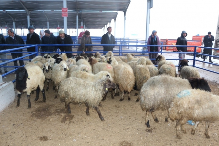 Çiftçilere 16 Milyon Tl’lik Destekleme Yapıldı