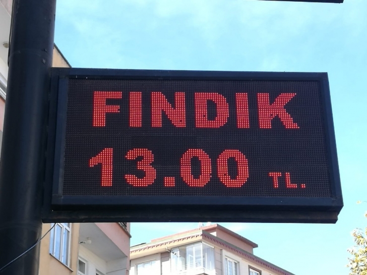 Serbest Piyasada Fındık Yükselişe Geçti