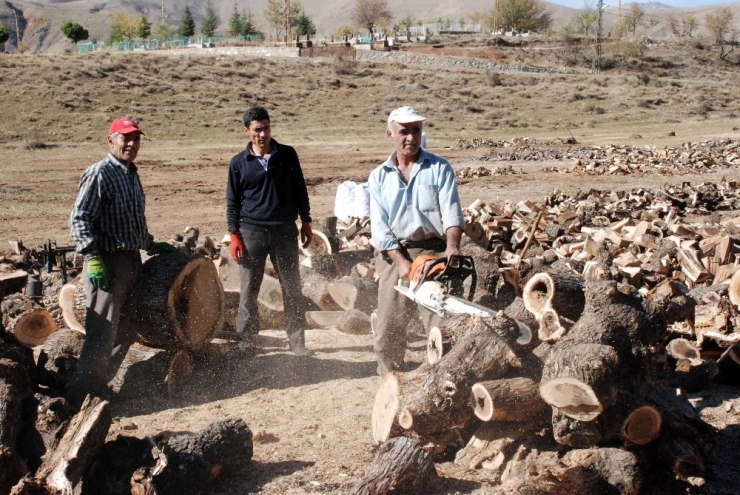 Kömürdeki Fiyat Artışı Oduna Rağbeti Arttırdı