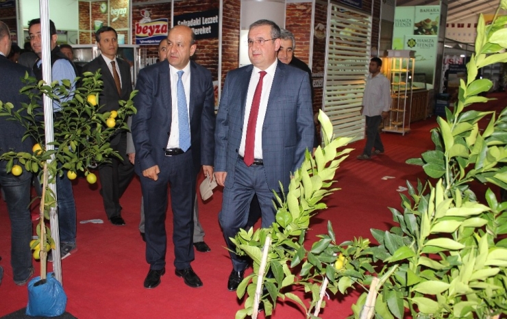Hatay Tarım Fuarı Açıldı