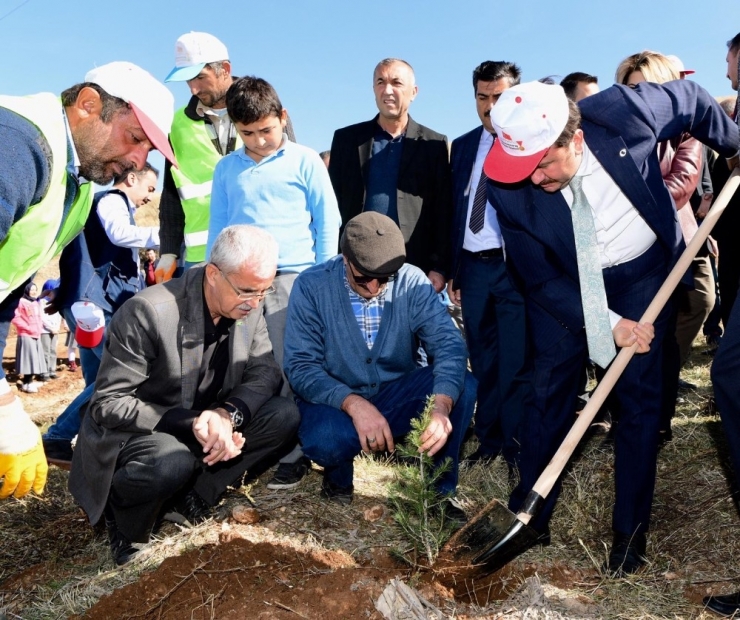 Kahramanmaraş’ta "Senin De Bir Dikili Ağacın Olsun" Kampanyası