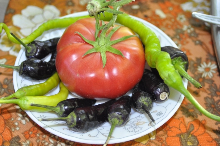 Organik Gübreyle Verim İkiye Katlandı