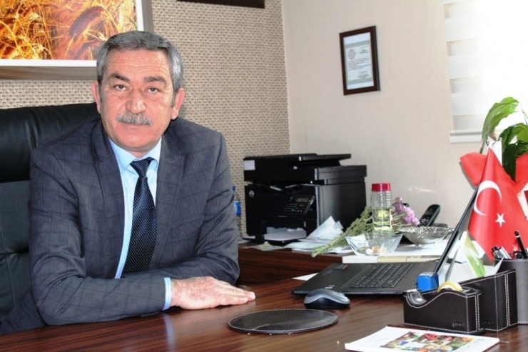 Deniz Patlıcanı Avı Serbest Bırakıldı