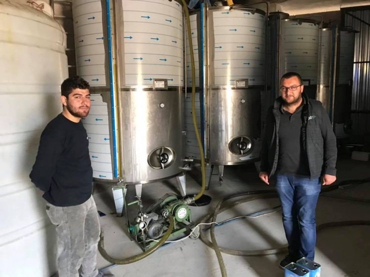 Mut’a Günlük 200 Ton Zeytinyağı Üretiliyor