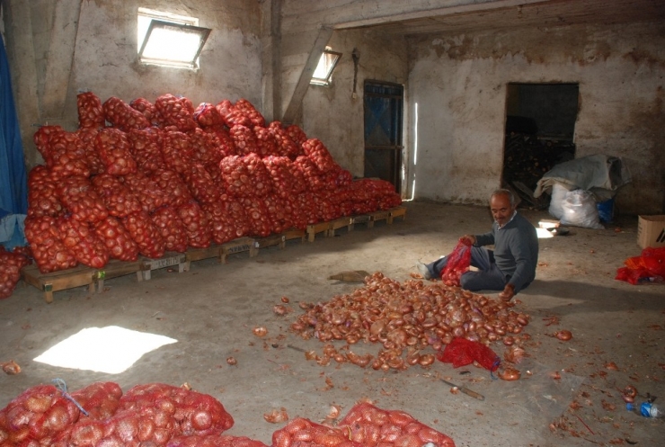 Soğan Depolarda Çürümeye Başladı, Fiyat Artışı Bekleniyor