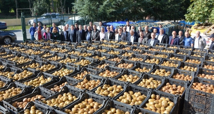 19 Mayıs’ta Kivi Hasadı