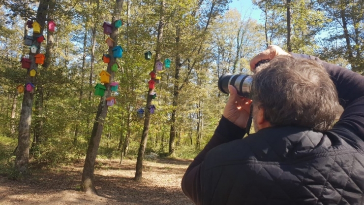Çoşkun Aral, Kadrajına Ormanya’yı Aldı