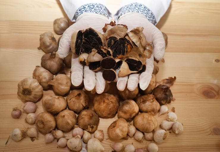 Ankara Üniversitesi Ziraat Fakültesi Bahçe Bitkileri Bölümü Araştırma Görevlisi Dr. Selen Akan;