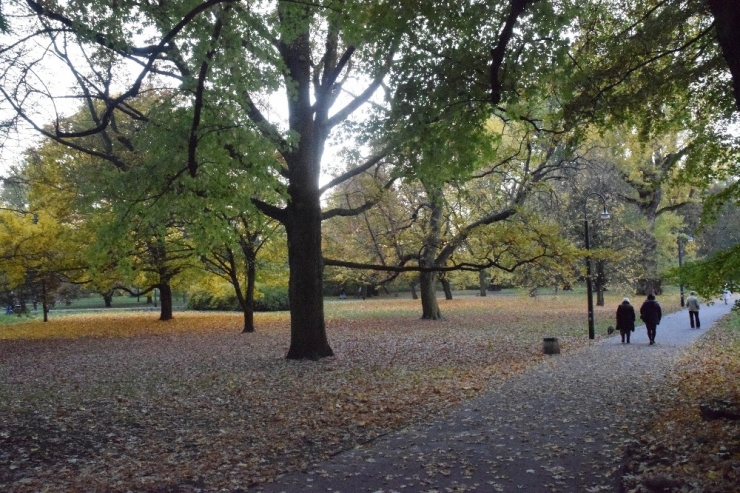 Polonya’da Kartpostallık Sonbahar Manzaraları
