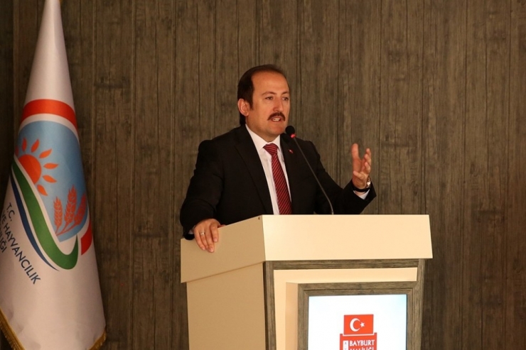 Vali Pehlivan: "Bayburt’ta Buzağı Ölümleriyle Mücadele De Oran Yüzde 16’dan Yüzde 6’ya Düştü"