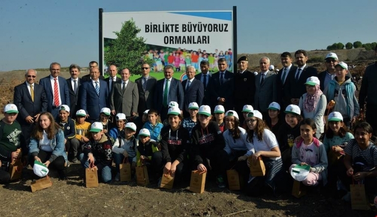 Vali Yazıcı, Öğrenciler İle Fidan Dikti