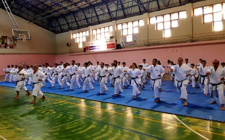 Karateciler Dan Seminerinde Ter Döktü