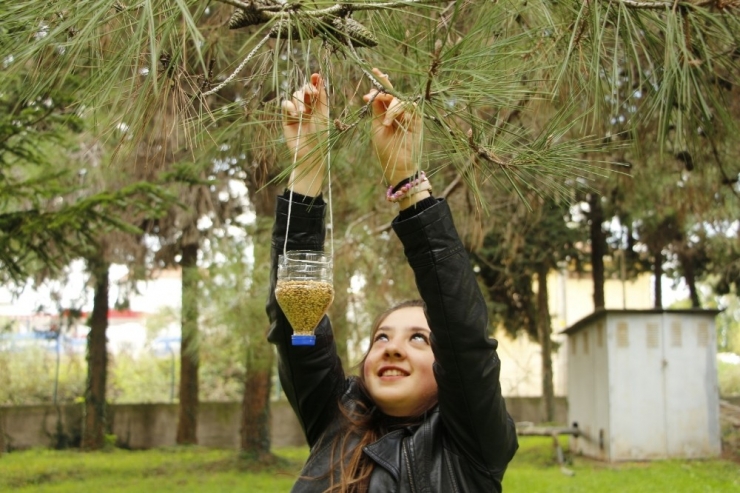 Omü’lü Öğrencilerden Kuşlara Yem