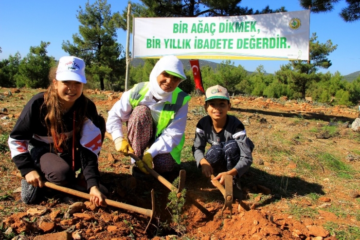 Fidanlar, Fidanlarla Büyüyecek