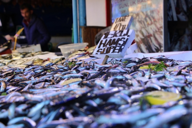 Yerli Hamsi Tezgahlardaki Yerini Aldı