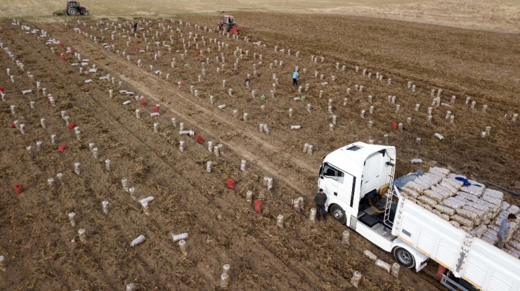 Ahlat Patatesi Yüz Güldürüyor