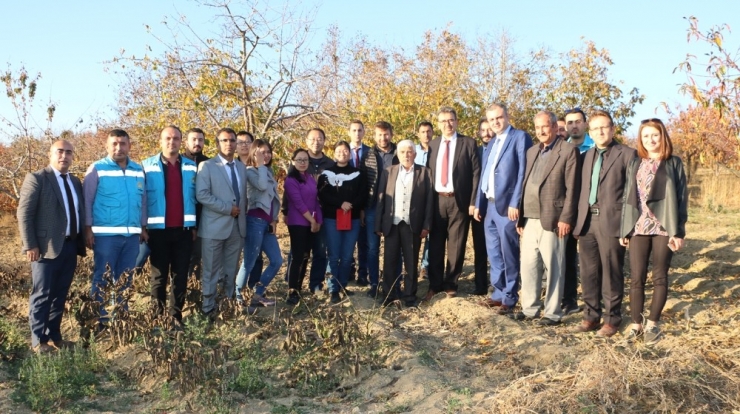 Çin Heyeti Kiraz Bahçelerinde