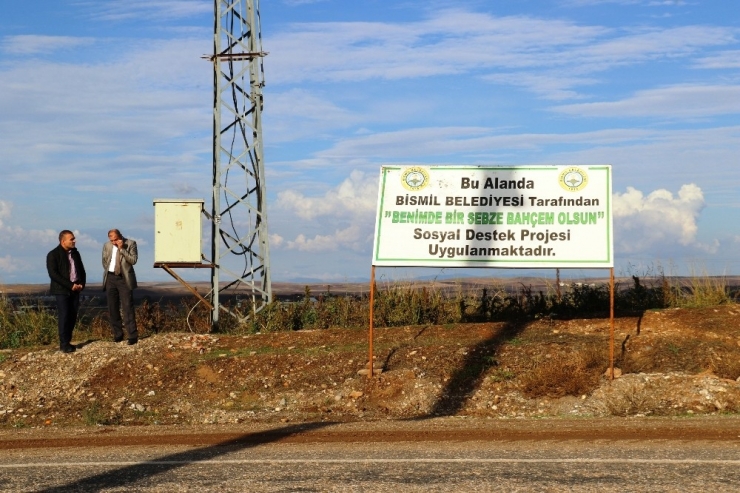 Kayyum Belediyenin Hazırladığı Proje İle 70 Aile 5 Ayda 3 Milyon 200 Tl Gelir Elde Etti